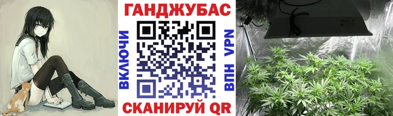 наркошоп  Яхрома  Шишки марихуана планчик 